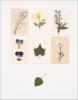 Deni Mechelle Newey art print