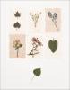 Deni Mechelle Newey art print