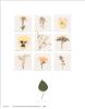 Deni Mechelle Newey art print