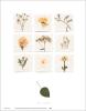 Deni Mechelle Newey art print