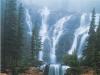 William Neill art print