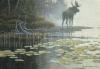 Robert Bateman art print