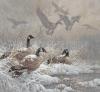 Larry Fanning art print
