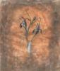Vicki Wilber art print