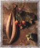 Jim Frankoski art print