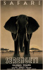 Steve Forney art print
