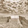 Michael Kahn art print