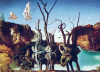 Salvador Dali art print