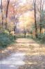 Diane Romanello art print