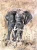 Marta Wiley art print