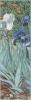 Vincent Van Gogh art print