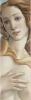 Sandro Botticelli art print