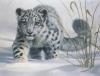 James Coleman art print