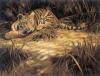 James Coleman art print
