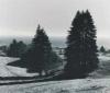 Ansel Adams art print