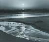 Ansel Adams art print