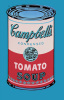 Andy Warhol art print