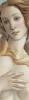 Sandro Botticelli art print