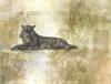 Marta Wiley art print