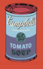 Andy Warhol art print