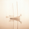 Michael Kahn art print