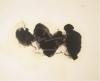 Robert Motherwell art print