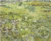 Vincent Van Gogh art print