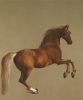 George Stubbs art print