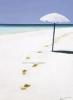 Reuben Colley art print