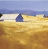 Carol Satriani art print