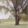 John Folchi art print