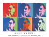 Andy Warhol art print