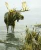 John Seerey-Lester art print