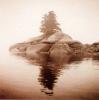 Michael Kahn art print