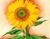 Georgia O'Keeffe art print