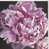 Hellman art print