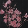 Amiryani art print