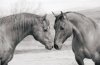 Albracht art print