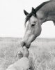 Albracht art print