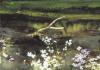 Andrew Wyeth art print