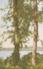 John Folchi art print