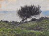 Claude Monet art print