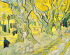 Vincent Van Gogh art print