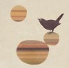 Ruppel art print