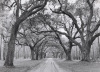 Orah Moore art print
