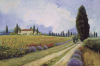 Hawley art print