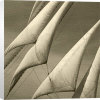 Michael Kahn art print
