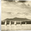 Michael Kahn art print