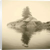Michael Kahn art print
