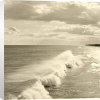 Michael Kahn art print